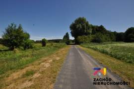 Na sprzedaż działki o łącznej pow. 2,42 Ha